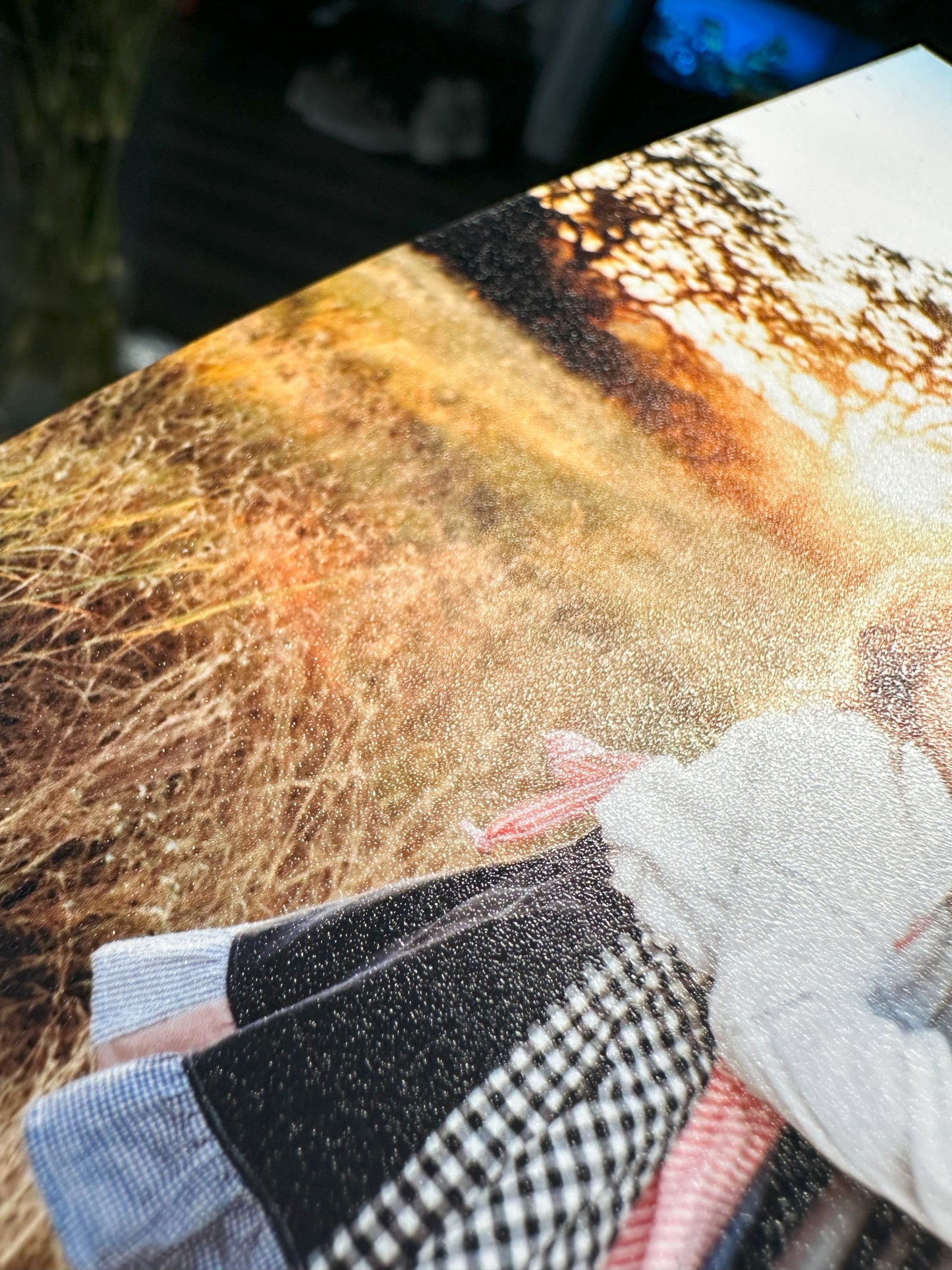 9 PHOTOMAGNETS 2.8X3.5 in